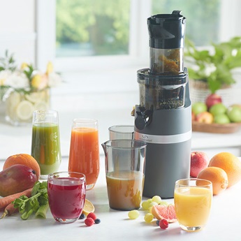 Product details for Vida Sana™ Electrics Cold Press Pro Juicer
