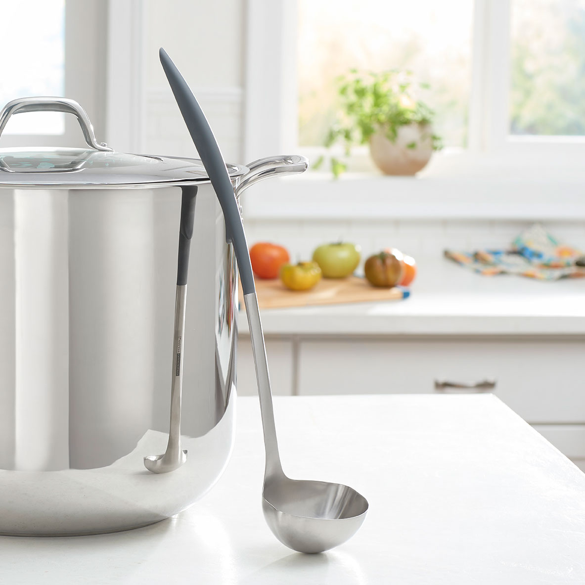 Long Ladle